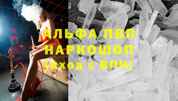соль ск Новодвинск
