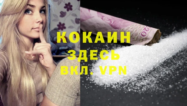 spice Аркадак